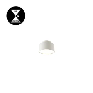 דקור צילנדר ונוס 16W פליז / שחור/ לבן