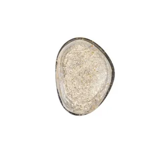 מנורת קיר 2588